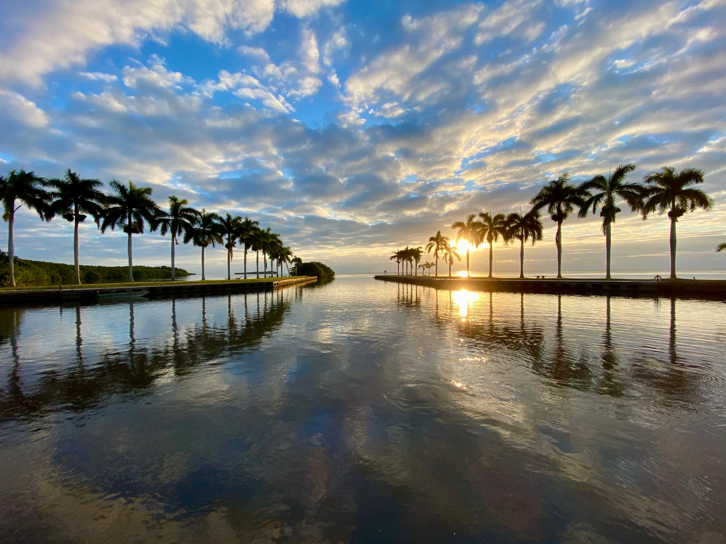 Palmetto Bay Real Estate